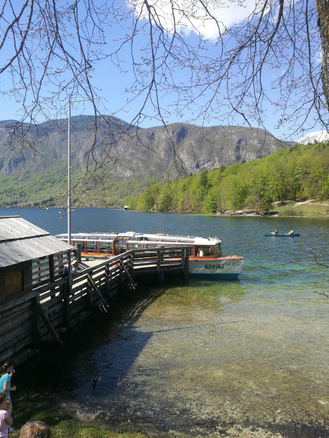 2 Studio & Apartment Cvetek Bohinj Exteriör bild